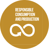 A circular gold badge with the text 'RESPONSIBLE CONSUMPTION AND PRODUCTION' above a white infinity symbol on a black background.