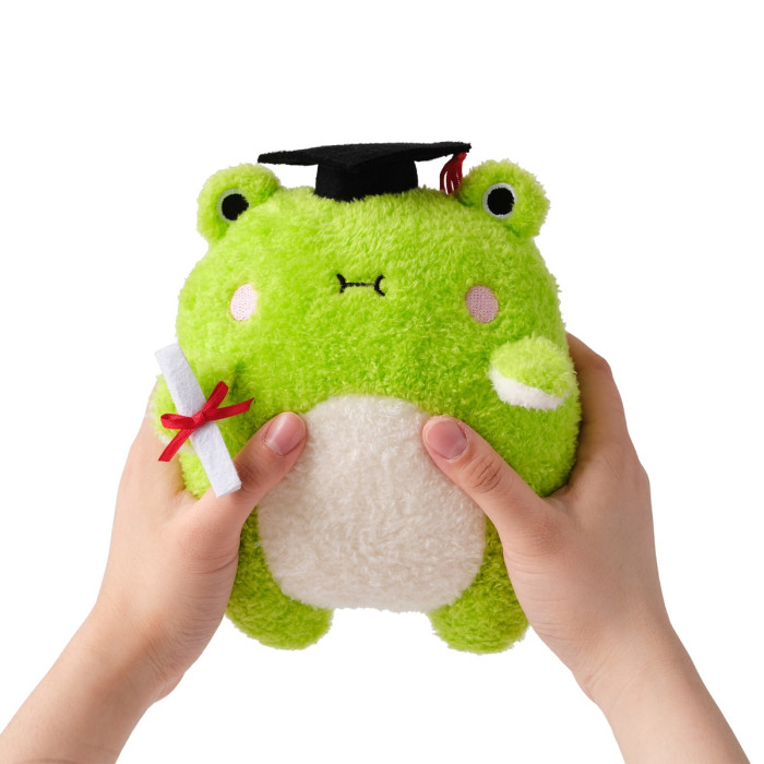 Graduation Riceribbit Plush Toy Noodoll