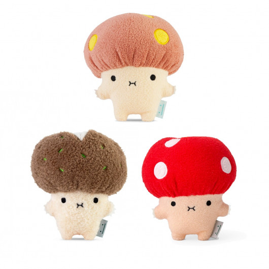 The Mushroom Collection