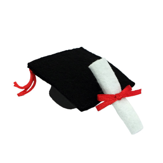 Graduation Cap and Diploma add-on