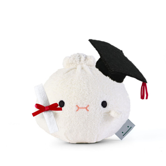 Pre-Order Graduation Ricebao Mini Plush Toy