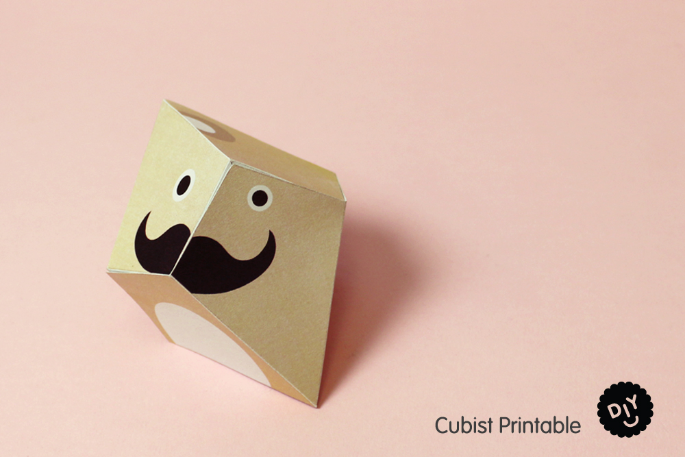 DIY Cubist Ricetache