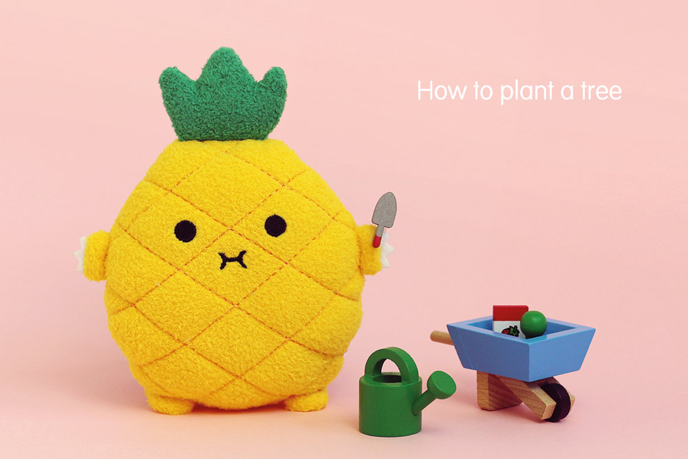 How to Plant a Tree